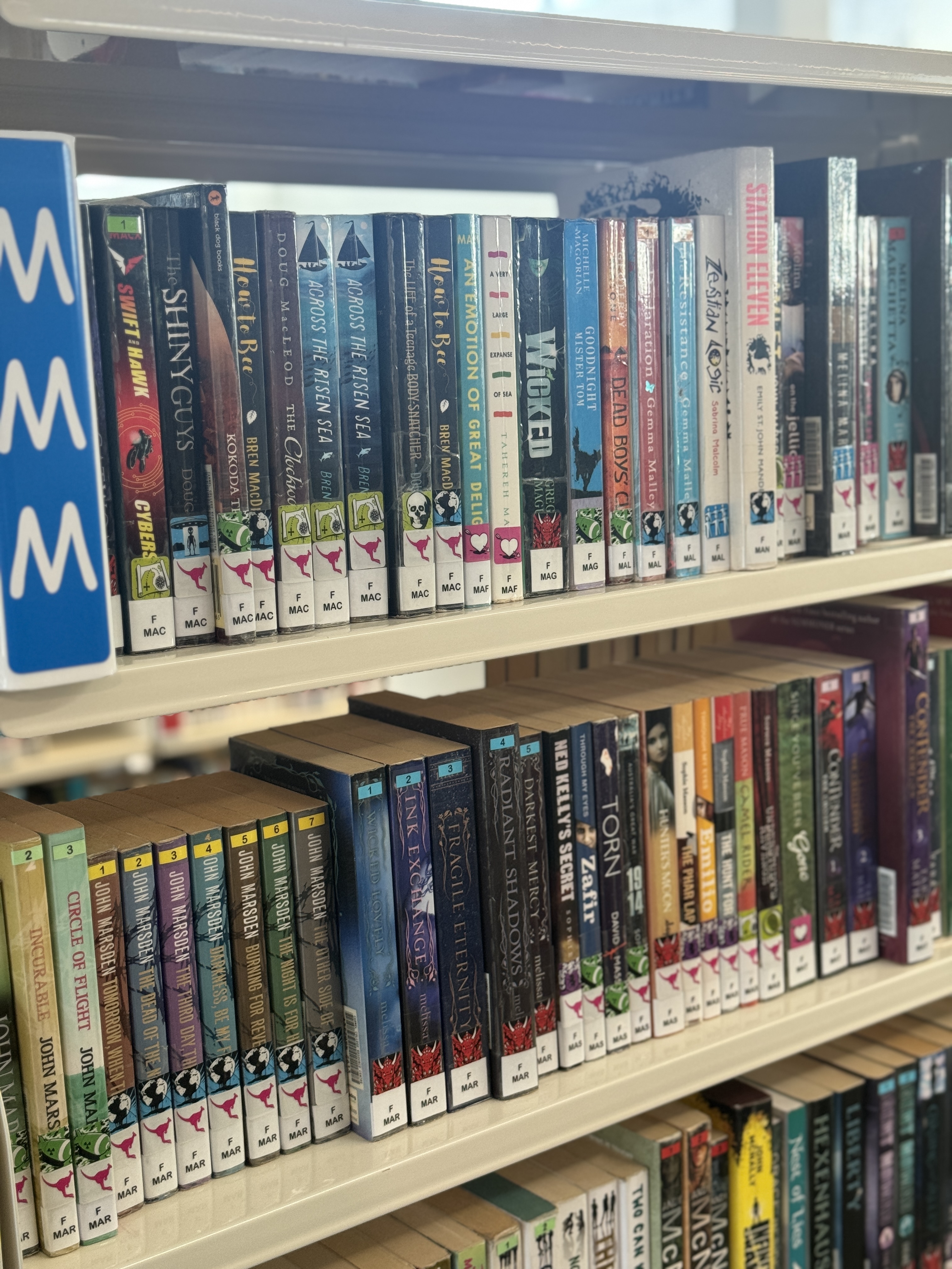 A shelf of books with genre labels on them